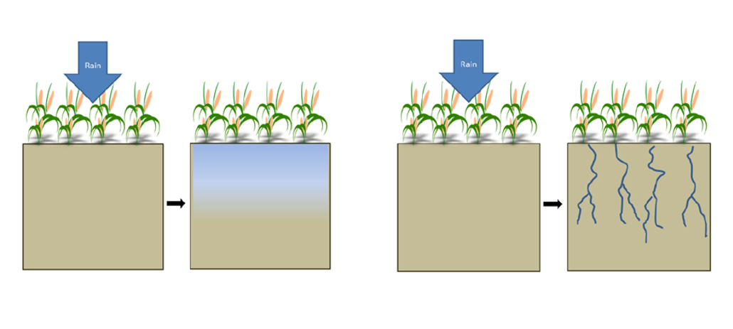 graphic depiction of water filtration through micropores in soil